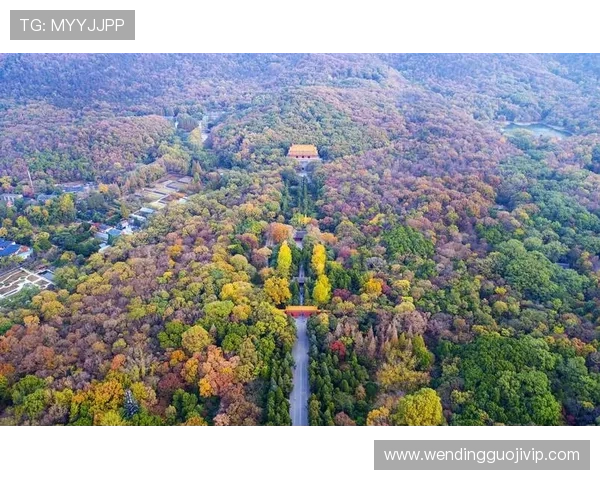 皇家社会俱乐部周边文化与历史风貌深度探索指南