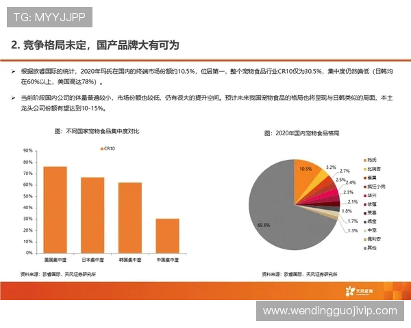 塞维利亚FC辉煌历程与未来发展战略全面解析