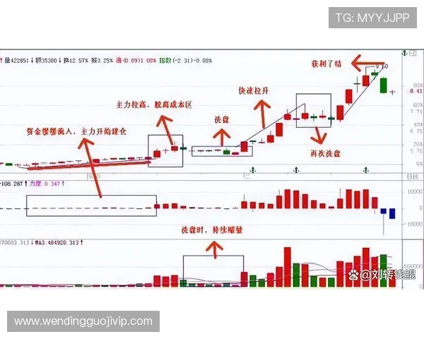 德甲风云再起:数据解码球队战术与赛季走势揭秘 德甲风云再起:数据解码球队战术与赛季走势揭秘
